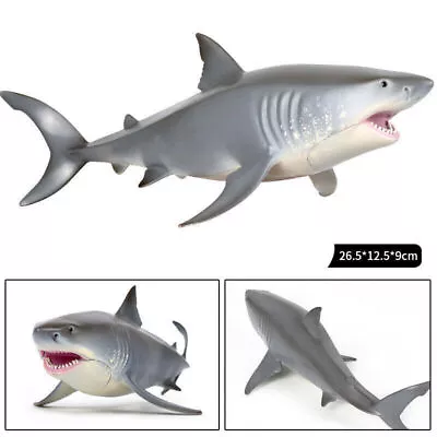 26.5cm Megalodon Great White Shark Simulation Animal Figure Model Toy DHL • $19.56