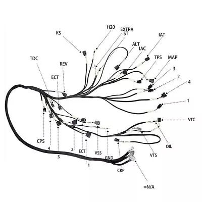 K20 K24 K-Series Tucked Engine Harness Fit Honda Acura K-Swap Integra CRX EK EG • $74.04