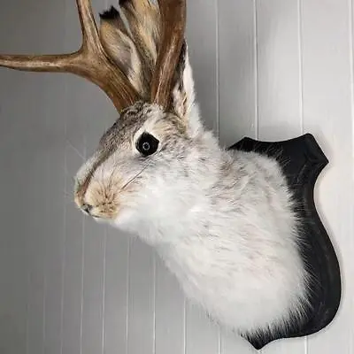 Jackalope Statue Wall Mount Antler Rabbit Head Hang Sculpture Animal Home Dã©cor • $20.99