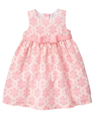 NWT Gymboree Family Brunch Pink Lace Dress Baby Toddler Girls Easter 0 3 6 12Mo • $16.96