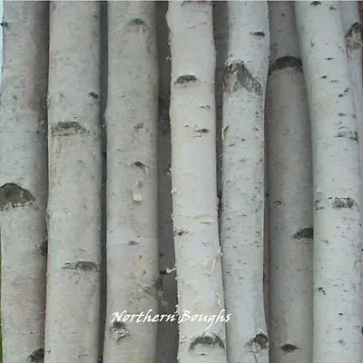 $63 • Buy 4 Thick White Birch Poles 4'