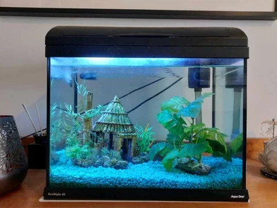 $100 • Buy Fish Tank Aqua One EcoStyle 42 28L Aquarium (Black)