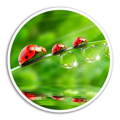 2 X 10cm Cute Ladybirds Vinyl Stickers - Bug Garden Sticker Laptop Luggage #8245 • £3.99