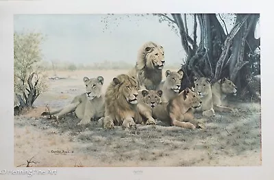 Charles Frace Signed Lithograph Royal Pride Lions Large 28 X 38  • $47.50