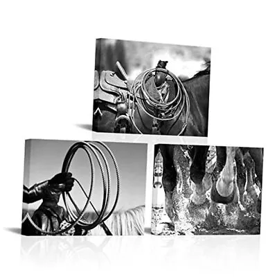 3 Pieces Black And White Cowboy Canvas Prints American West Rodeo Wall Small • $53.76