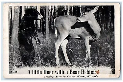 Greetings From Manitowish Waters WI A Little Deer With A Bear Behind Postcard • $14.98