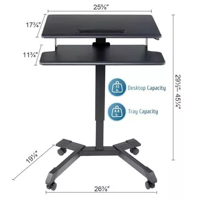 Multi-Functional Adjustable Standing Laptop • $199.99