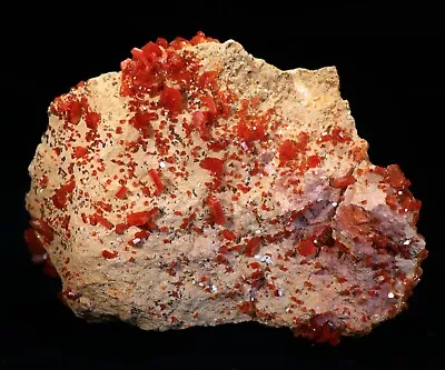 3.5  Superb Cherry Red Vanadinite Crystals On Matrix  Morocco! ! V260 • $100