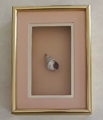 Figi Giftware Sea Shell Shadow Box Gold Framed Vintage Coastal Wall Art 7x5 -USA • $25