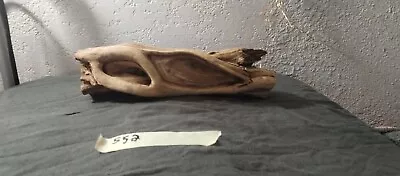 #552 Natural Wood Driftwood Manzanita Aquarium Decor • $26.55