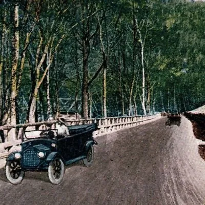 C.1925 Postcard Mohawk Trail Berkshire Hills Massachusetts MA Landscape-LH8 • $8.99