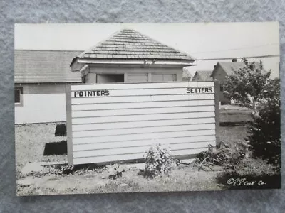 Vintage Pointers And Setters Outhouse Real Photo Postcard • $4.20
