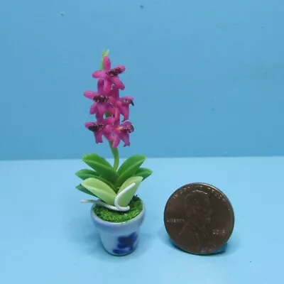 Dollhouse Miniature Purple Mokara Orchid In Ceramic Pot G7803 • $8.54