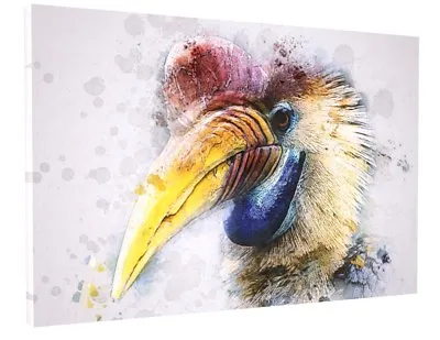 Hornbill Bird Animal Canvas Picture Print Wall Art Chunky Frame Large  • £39.77