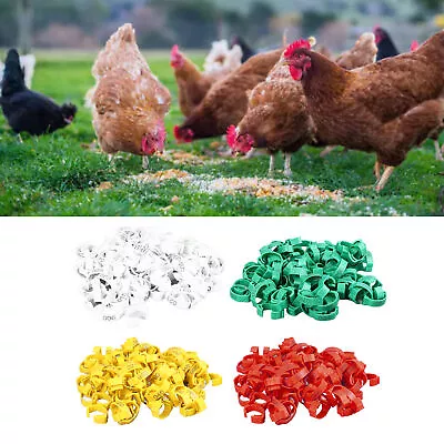 100 Poultry Ankle Bands Clip On Chicken Leg Rings Quick Identification Gamefowl • £9.36