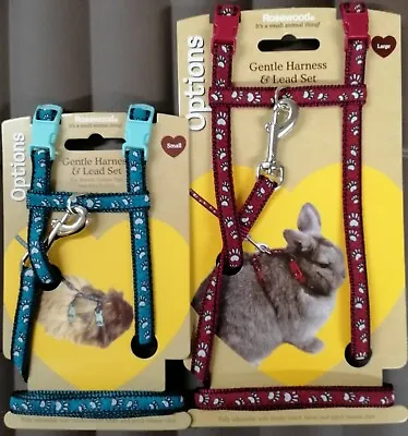 Small Animal Rabbit Harness & Lead Set Guinea Pig Ferrets Rats 2 Sizes 2 Colours • £5.99