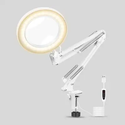 Illuminated Magnifier Glass Lense Lamp Clamp On Table Lamp Lighted Magnifier • £34.62