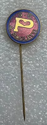 Rare Pin Badge ITALY Volleyball Club PAOLETTI CATANIA SICILIA ITALIA Enamel • $35