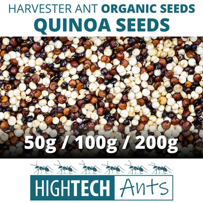 £3.79 • Buy Harvester Ants, Messor Barbarus Quinoa Seeds, Food, Ant Colony Safe - Organic