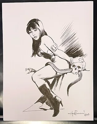 MIKE HOFFMAN Original Art Girl W/ Snake & Skull Frazetta Style Vampirella Pinup • $124.99