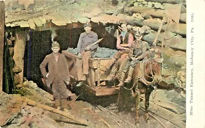 A View Of The Mine Tunnel Entrance Miners & Mule Mahanoy City Pennsylvania PA  • $9.95