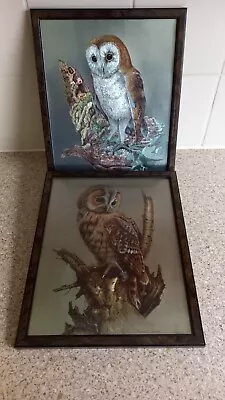 Pair Of Vintage Foil Picture Framed Owl Metallic Etched Signed By Audrey North  • $18.64
