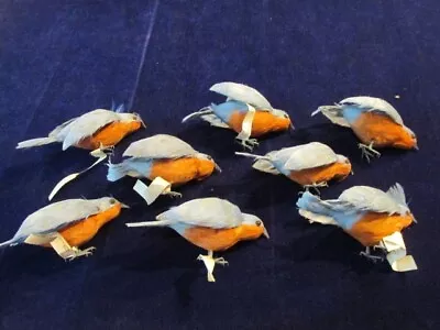 Vintage Millinery Bluebird 8pc Lot Bird Of Real Feathers For Hat 6 1/2  CC7 • $99.99