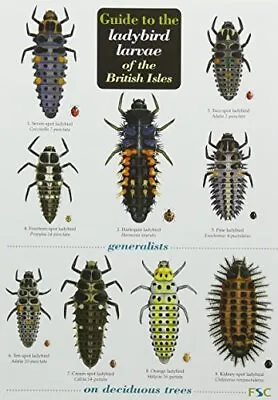 Richard F. Comont Helen Roy R Guide To The Ladybird Larva (Mixed Media Product) • £6.84