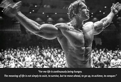 Arnold Schwarzenegger Motivational Poster BodyBuilding Inspirational Quote 11x16 • $14.99