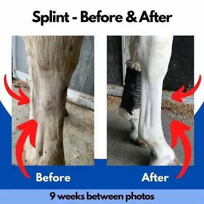 Magnetic Patch & Wrap Treatment For Splints Tendon Injury Scar Tissue Windgalls • £34.71