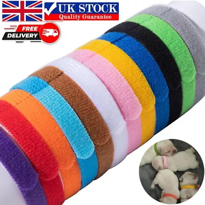 12x Colour Whelping Puppy ID Collars Adjustable Coloured Welp Bands Size Choice • £3.98