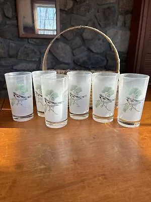 Vintage Frosted Glasses Tumblers Set Of 6 Birds Plus Wicker Carrier • $49.99