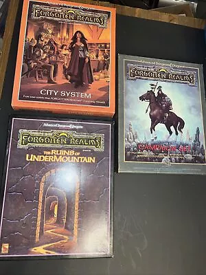 AD&D 1st Ed Forgotten Realms Campaign Set Boxed 1987 TSR City System 1040 Ruins • $199.99