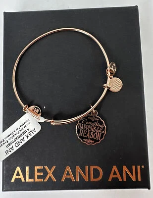 $72.87 • Buy Alex And Ani EVERYTHING HAPPENS FOR A REASON Silver Bangle New W/Tag Card & Box