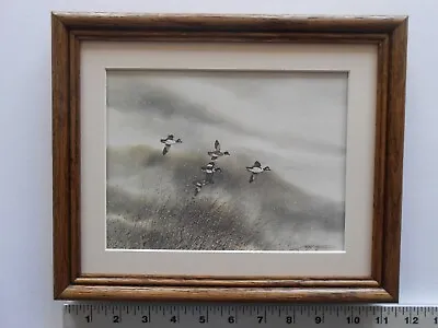 David Hagerbaumer BARROWS AND COMMON GOLDENEYE 8x10 Framed 2.6 516 • £33.73