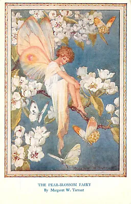 Fantasy Postcard S/A Margaret Tarrant Pear Blossom Fairy Medici Society 213 • $13.49