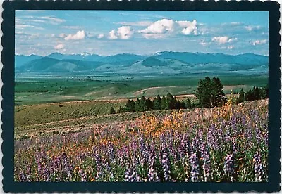 4X6  POSTCARD Montana Bob Marshall Wilderness Area Mountains Postmarked 1981 • $4.88