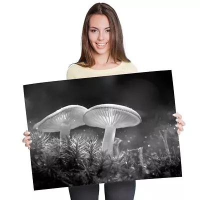 A1 - Magic Glowing Mushrooms Fantasy 60X90cm180gsm Print BW #42265 • £10.99