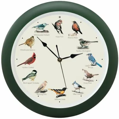 The Original Singing Bird Hanging Wall Sound Clock 13 Inch Green • $34.95