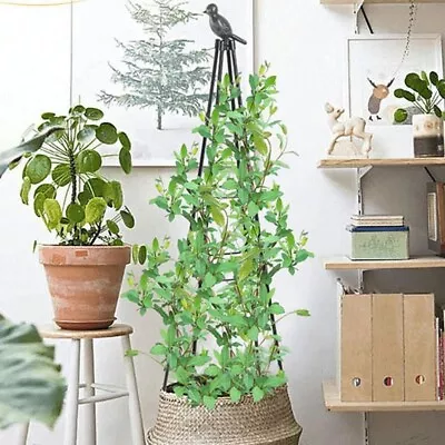 Outdoor Garden Climbing Plant Support Frame Metal Obelisk 47/67 In Pots Support • £8.99