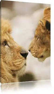 Love Lion Pair Canvas Picture Wall Decoration Art • £22.60