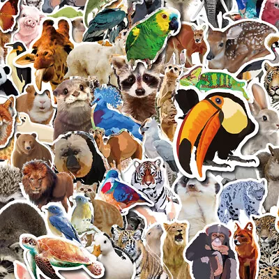 Animal Stickers Collection Cartoon Kids Vinyl Sticker Laptop Skateboard Decal ZZ • $4.99