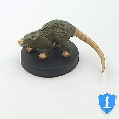 Giant Rat - Monster Menagerie 2 #1 D&D Miniature • $9.49