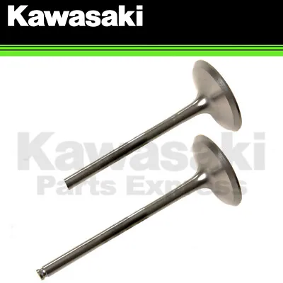 New 2009 - 2016 Genuine Kawasaki Kx 250 F Kx250f Intake Valves - 2 Pack! • $200.44