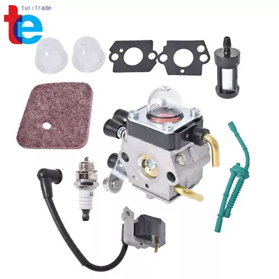 Carburetor Ignition Coil Kit For FS55 FS38 FS55R KM55 FS45 FS46 FS55T FC55 • $22.89