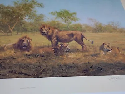 Print David Shepherd Evening In The Luangwa Signed 437/850 Africa Lions Art Core • £77.50