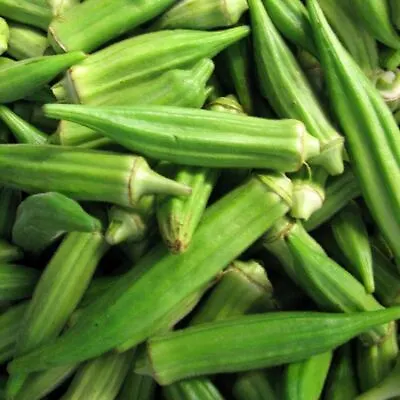 OKRA Clemsons Spineless 15 Seeds Spring Summer Vegetable Garden Easy Grow HOT • $5.32