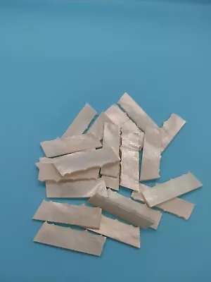 Genuine Mother Of Pearl Scrap Material Guitar Inlay Crafts Jewelry Sewing • $12.50