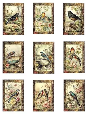 Vintage Birds B MULTI-SIZE SET Cotton Fabric Quilt Blocks Reproduction • $13.50