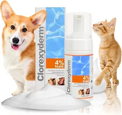 £15.49 • Buy Clorexyderm 4 Foam Mousse Dry Shampoo For Dogs Cats Antibacterial Antifungal Dry